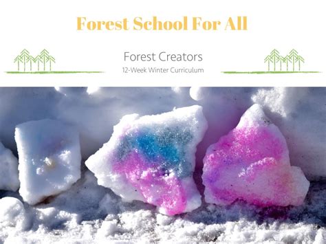 Curriculum - Forest School For All