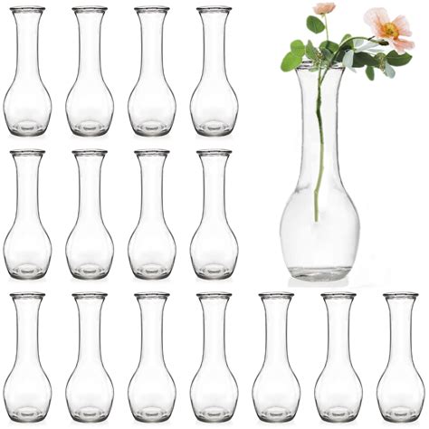 Buy ZOOFOX Set of 16 Glass Bud Vase, Small Vases for Flowers, Clear ...