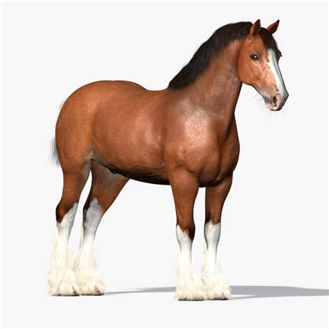 cinema4d clydesdale draft-horses