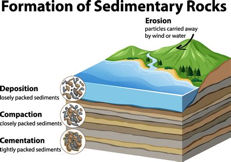 Three Facts About Sedimentary Rocks