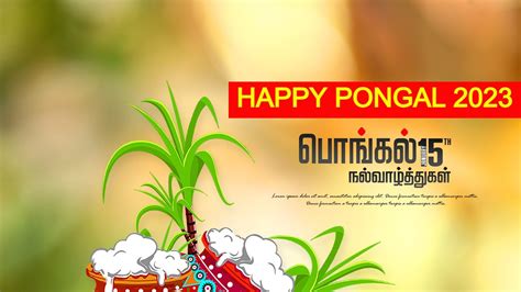 Happy Pongal 2023: Thai Pongal Wishes, Images, Quotes, Messages and ...