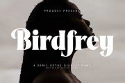 Birdfrey - Bold Serif Retro Display | Serif Fonts ~ Creative Market
