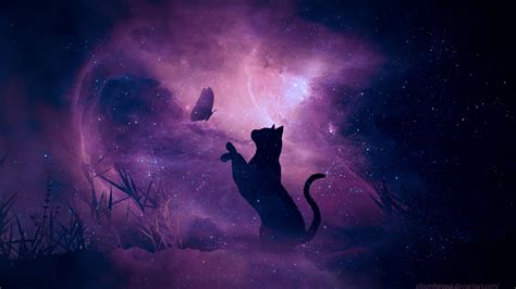 4k Cat Desktop Wallpapers - Wallpaper Cave