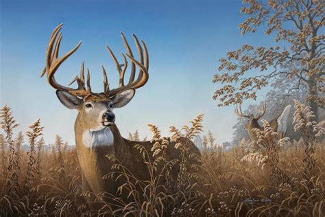 Deer Art | Deer painting, Deer pictures, Hunting art