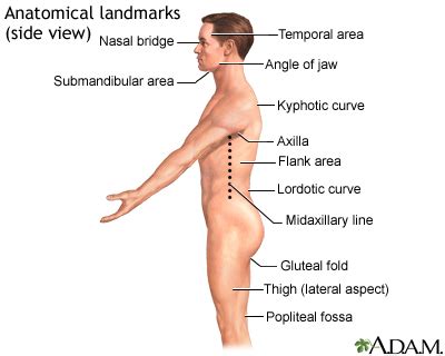 Flank pain