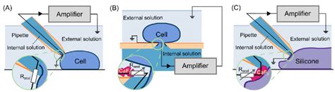 A schematic comparison of manual and automated patch-clamp methods,... | Download Scientific Diagram