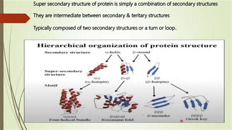 Super secondary structure of protein