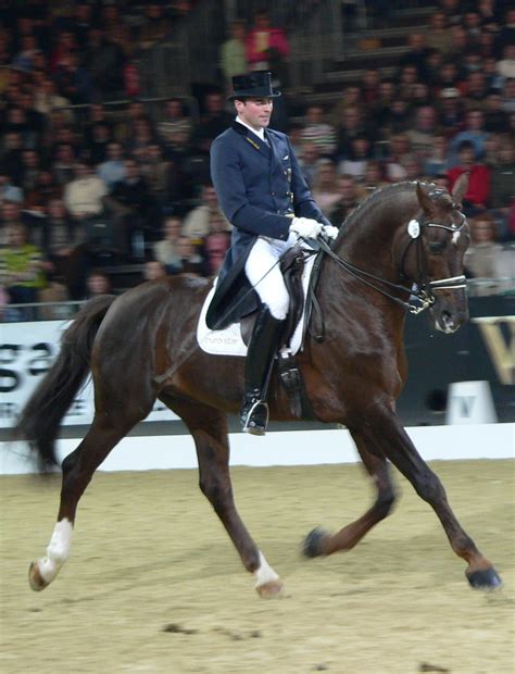 Dressage - Wikipedia