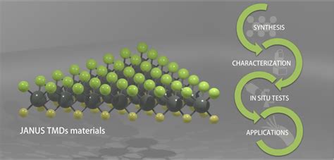 2024 DP on “Janus” Transition Metal Dichalcogenides funded - Surface Science and 2D Materials