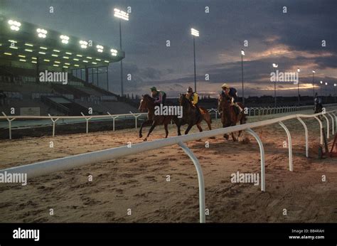 Floodlit racing at Dunstall Park Wolverhampton Racecourse 6 12 93 Stock Photo - Alamy