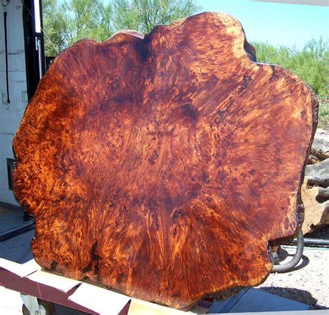 a Burl to drool over... | Burled wood, Wood slab, Wood slab table