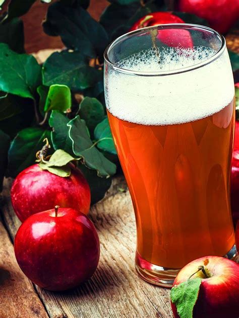 Mark's Standard Cider | Recipe | Cider recipe, Home brewing, Cider