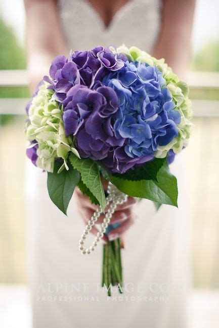 20+ Classic Hydrangea Wedding Bouquets | Deer Pearl Flowers