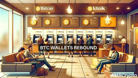 Large Bitcoin wallets reach pre-FTX levels - What it means for BTC ...