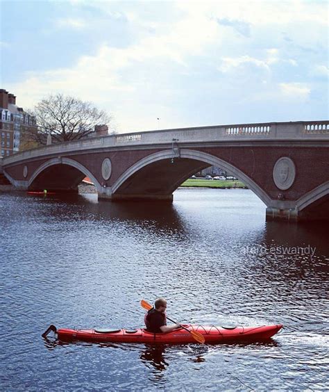 Kayaking on the Charles | Charles river, Kayaking, River