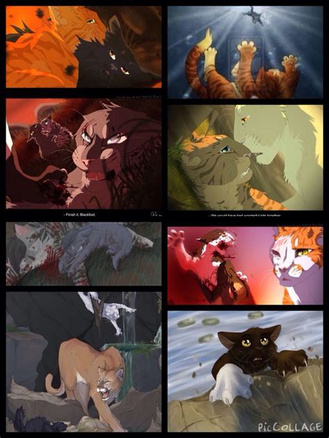 Saddest warriors deaths: Yellowfang, Flametail, Stonefur, Honeyfern ...