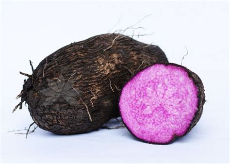 Purple Yam - Frozen Purple Yam from Vietnam | Purple yam, Yams, Mango smoothie