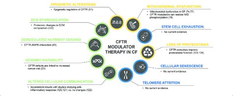 | CFTR modulator therapy in CF and potential effects on the hallmarks... | Download Scientific ...