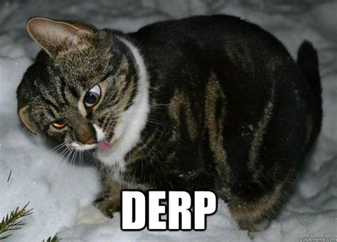 Derp Cat memes | quickmeme