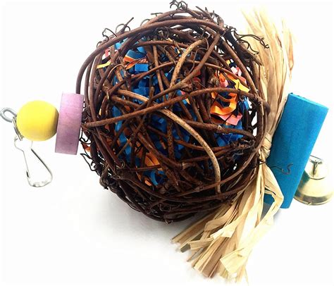 Best foraging toys for Budgies from Amazon to keep them happy