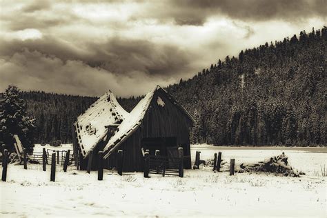 California Blizzard Photograph by Mountain Dreams - Fine Art America