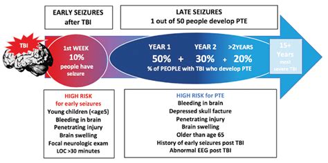 Traumatic Brain Injury, Seizures, and Epilepsy - Brain Injury ...