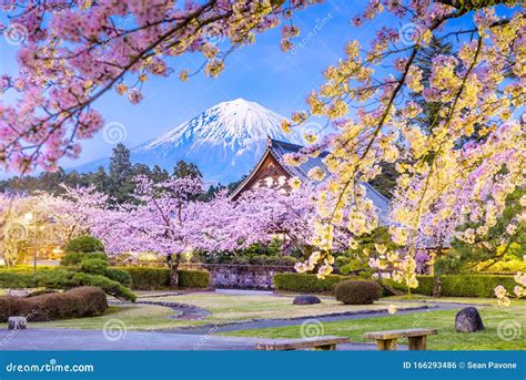 Fujinomiya, Shizuoka, Japan with Mt. Fuji Stock Photo - Image of lake ...