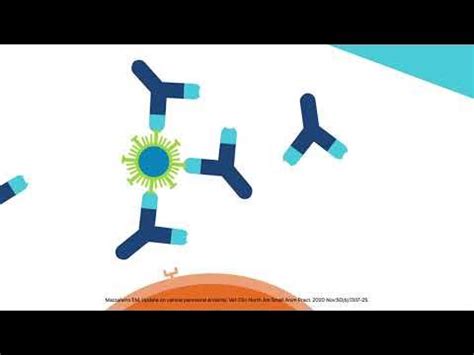 Canine Parvovirus Monoclonal Antibody by Elanco - YouTube