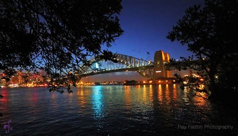 Sydney Spider Sydney Opera House, Spider, Ray, Building, Landmarks ...