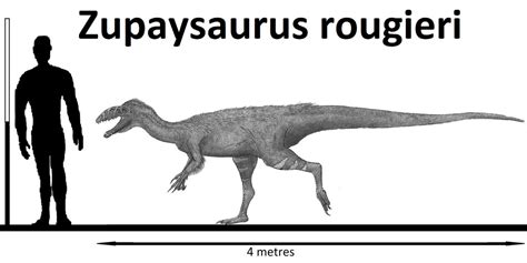 Zupaysaurus rougieri by Teratophoneus on DeviantArt