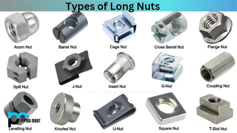 5 Types of Long Nuts and Their Uses