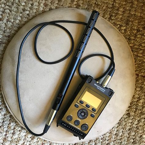 Laura's Birding Blog: My sound recording equipment