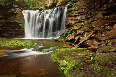 Spring At Elakala Falls Photograph by Michael Blanchette Photography ...