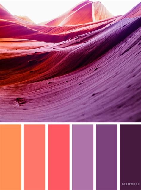 Orange and purple color scheme,orange peach and purple color palette