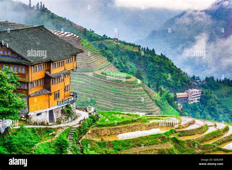 Terrace Farming Hillside Stock Photos & Terrace Farming Hillside Stock ...