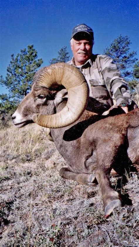 Bighorn Sheep Hunting Guides - Horn Fork Guides