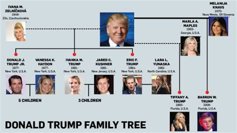 Donald Trump Family Tree | CTV News