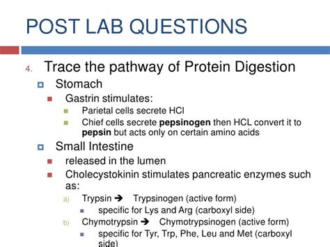 😀 Protein digestion lab with egg. Protein Digestion Experiment. 2019-03-05