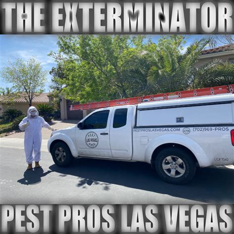 Exterminating Bees Affordably, in Las Vegas