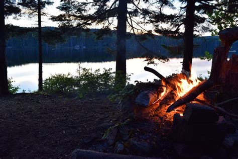 Adirondack Camping | Adirondack Experience | Adirondack camping, Family ...