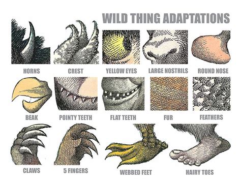 Teach Animal Adaptions Using Where the Wild Things Are | Animal adaptations, Adaptation projects ...