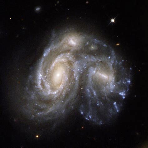 Merging galaxies wrap their black holes in dusty shrouds