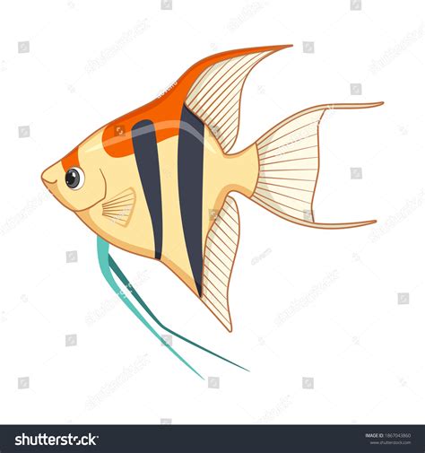 3,249 Angelfish Cartoon Images, Stock Photos, 3D objects, & Vectors | Shutterstock