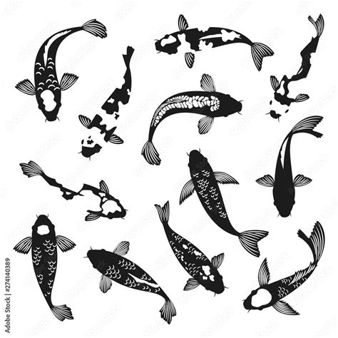 Koi fish silhouettes. Black and white swimming koi carp fishes drawings ...