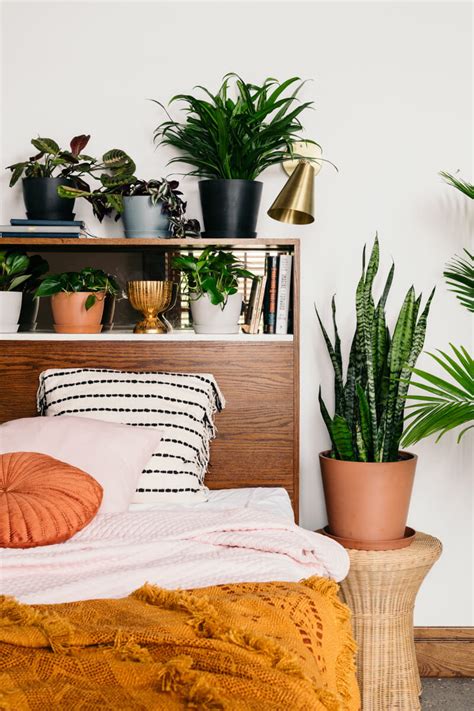 Best Plants for Your Bedroom | Bloomscape