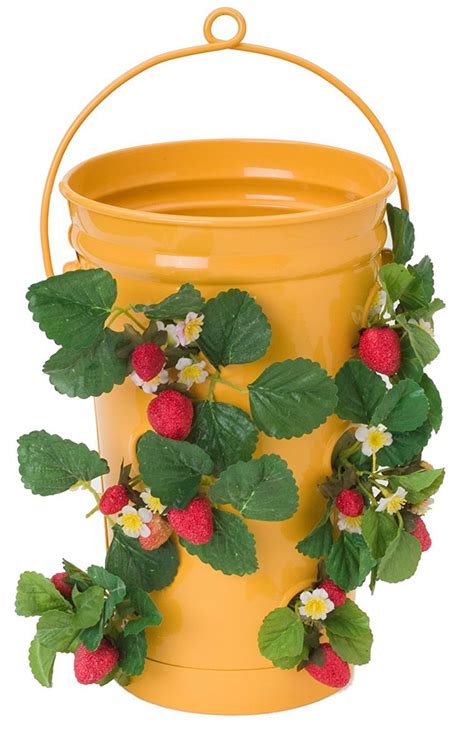 6 Best Strawberry Planters | Grow Green Food