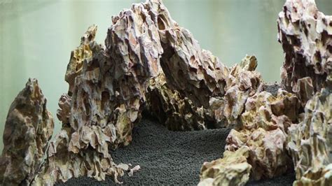 My Dragon Stone Aquascape | Aquascape aquarium, Aquascape, Aquascape design