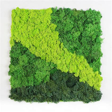 Factory Wholesale Green Dried Real Preserved Moss Wall For Indoor ...