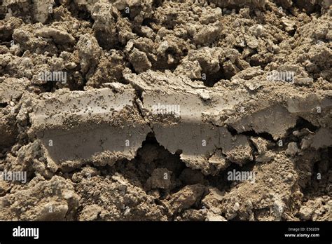 Loamy soil hi-res stock photography and images - Alamy