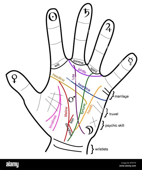 31 Astrology Lines On Hand - Astrology Today